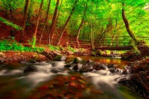 Owl Creek Bridge