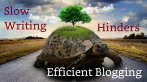 Efficient Blogging Hindered By Slow Writing